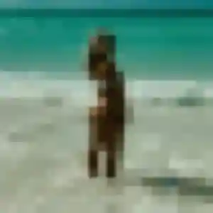 rencontre cougar à Les Vallées de la Vanne : photo de Fabienne, 51 ans - inscription gratuite