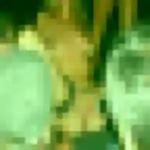 Profil de Anne-Marie à Leyment (37 ans) - rencontre cougar sans inscription