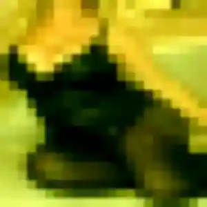 Ginette, 52 ans, disponible à Leyment pour une rencontre coquine