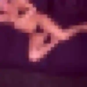 rencontre cougar à Limeray : photo de Eliane, 37 ans - accès libre