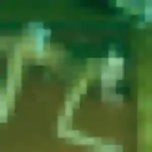 Severine, 36 ans, connectée à Lit-et-Mixe pour une rencontre coquine