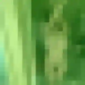 Profil de Genevieve à Longèves (38 ans) - rencontre cougar gratuit