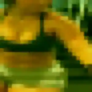 Photo perso de Delphine, 47 ans à Longwy - plan discret