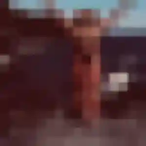 Laurence, 35 ans, connectée à Loupershouse pour une rencontre coquine