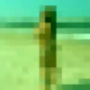 Profil de Viviane à Luttange (44 ans) - rencontre cougar gratuit