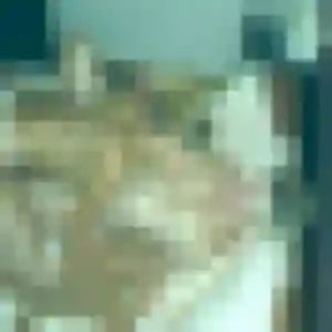 Photo de Colette à Luttenbach-près-Munster (55 ans) - rencontre cougar gratuit