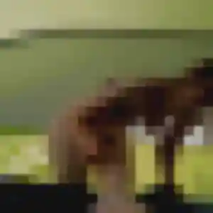 Elisabeth, 52 ans, connectée à Magny-sur-Tille pour une rencontre coquine
