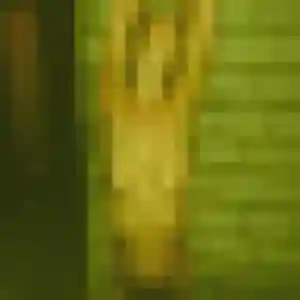 Paulette, 45 ans, disponible à Maillebois pour une rencontre coquine