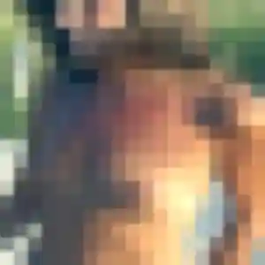 Veronique, 40 ans, en ligne à Maing pour une rencontre coquine