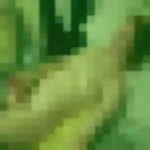 Photo perso de Marguerite, 40 ans à Malaucène - rencontre coquine