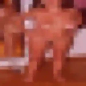 Sexy Nicole, 37 ans à Malintrat - voir sa photo