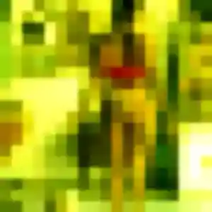 Profil de Cecile à Marcillac-Vallon (51 ans) - rencontre cougar anonyme