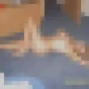 Stephanie de Mareuil-le-Port, 44 ans - rencontre cougar sans prise de tête