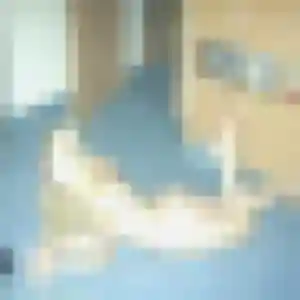 Karine (49 ans) à Marines cherche un rencontre cougar rapidement