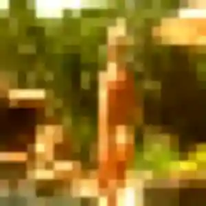 Contacte Martine, 43 ans à Marquay en privé