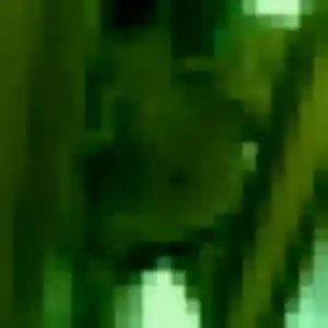 Sexy Christine, 42 ans à Martillac - la contacter