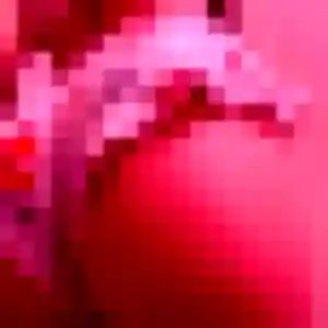 Photo exclusive de Nathalie, 53 ans à Marvejols - rencontre coquine