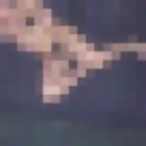 Eliane, femme de 41 ans cherche rencontre cougar à Massegros Causses Gorges