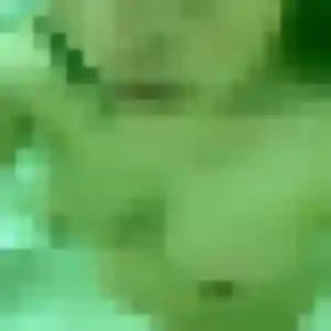 Profil de Lydia à Matoury (44 ans) - rencontre cougar discret