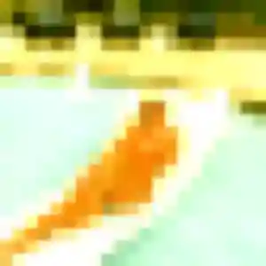 Profil de Antoinette à Mauzac-et-Grand-Castang (41 ans) - rencontre cougar discret