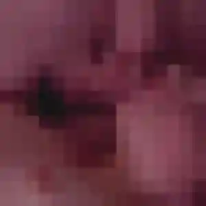 Rejoins Sandrine, 48 ans à Mehun-sur-Yèvre gratuitement