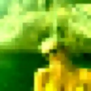 Anne-Claire de Meillant, 43 ans - rencontre cougar en toute liberté