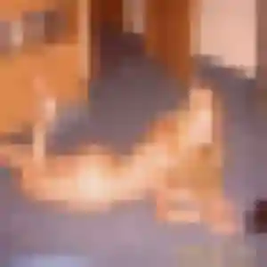 Karine (41 ans) à Ménétrol propose une rencontre maintenant