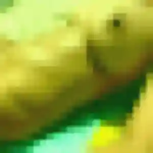 Lydia, 42 ans, connectée à Menneville pour une rencontre coquine