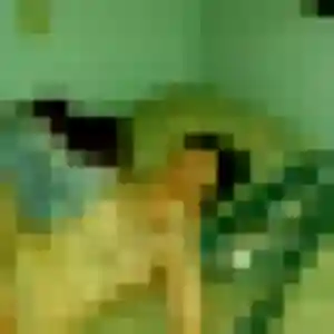Profil de Viviane à Mesnard-la-Barotière (52 ans) - rencontre cougar discret