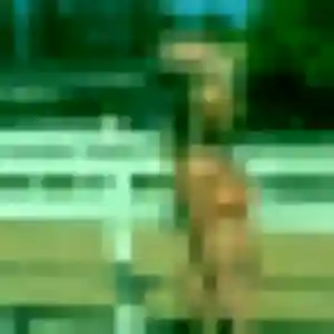 Photo de Veronique à Mespaul (55 ans) - rencontre cougar gratuit