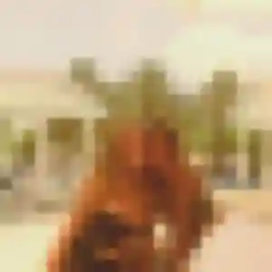 Photo de Paulette à Meung-sur-Loire (52 ans) - rencontre cougar discret