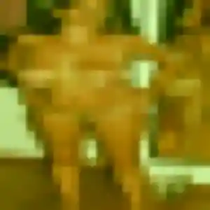 Profil de Nicole à Meximieux (36 ans) - rencontre cougar anonyme