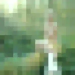 Colette, 41 ans, connectée à Meyras pour une rencontre coquine