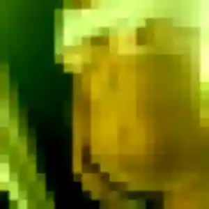 Rejoins Genevieve, 53 ans à Meyssac en t'inscrivant