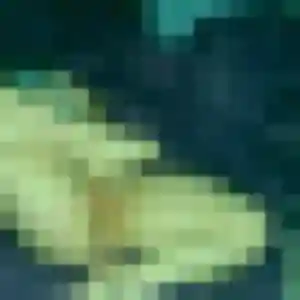 Photo perso de Stephanie, 49 ans à Michery - rencontre coquine