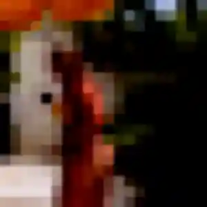 Beatrice, 51 ans, disponible à Minzier pour une rencontre coquine