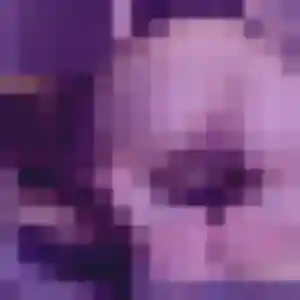 Catherine (36 ans) à Mirepoix-sur-Tarn cherche un rencontre cougar aujourd'hui