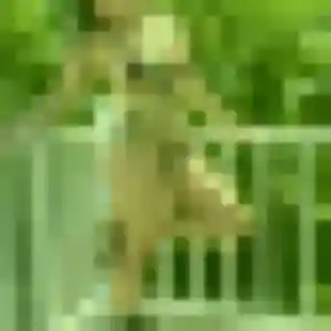 Profil de Lucette à Moisselles (55 ans) - rencontre cougar discret