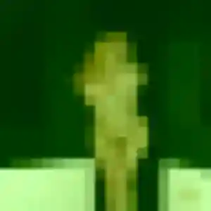 Découvre Corinne, 36 ans à Mont-Cauvaire gratuitement