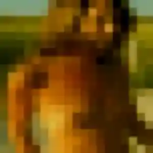 Veronique, 52 ans, connectée à Mont-Saint-Père pour une rencontre coquine