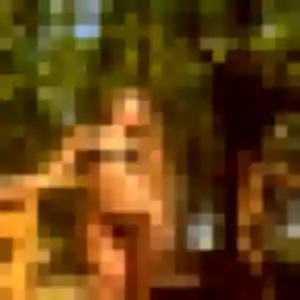 Genevieve, femme de 46 ans cherche rencontre cougar à Montagny-lès-Beaune