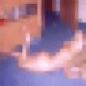 Photo sexy de Karine, 40 ans à Montaigut-sur-Save - plan discret