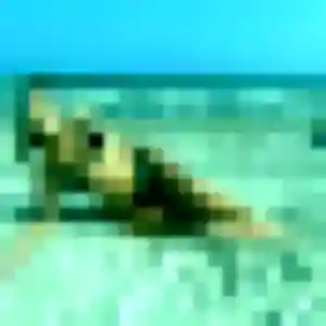 Jeannine (47 ans) à Montauroux cherche un rencontre cougar rapidement