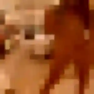 Fabienne (39 ans) à Montaut cherche un rencontre cougar maintenant