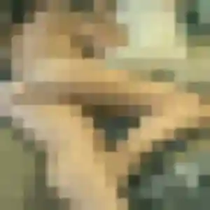 Carole, 40 ans, connectée à Monterfil pour un rencontre cougar