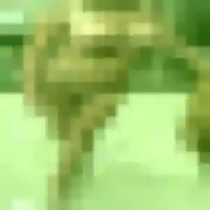 Francoise, femme de 50 ans cherche rencontre cougar à Montgermont