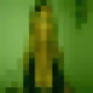 Yolande, 39 ans, dispo pour rencontre cougar à Montigné-le-Brillant