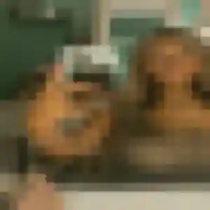 Rejoins Yvette, 49 ans à Montjoie-en-Couserans en privé