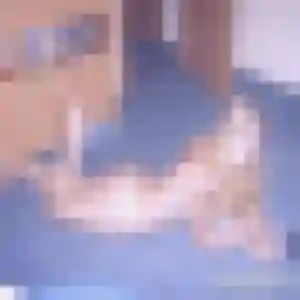 Photo privée de Karine, 53 ans à Montry - plan discret