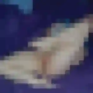 Contacte Stephanie, 38 ans à Montvicq en privé